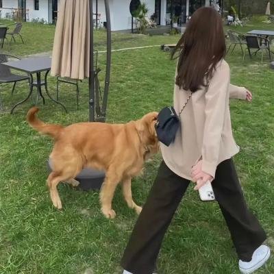 血缘寻亲